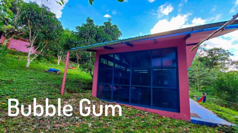 Photo of the outside area of Bubble Gum our shared bungalow
