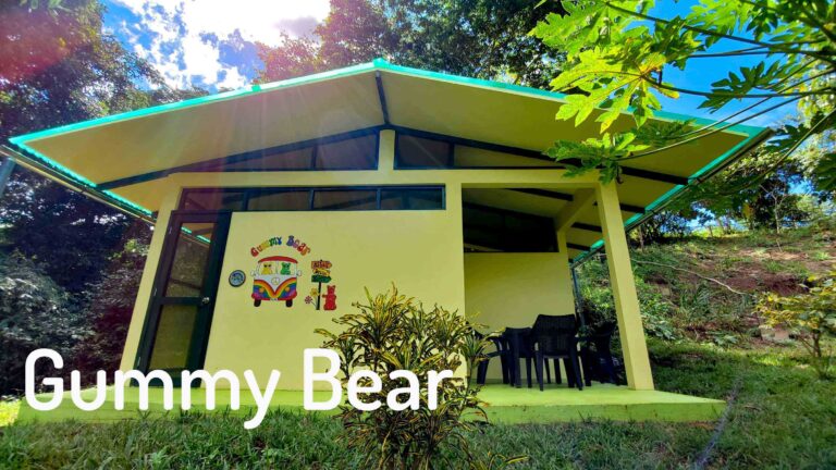 Photo of the patio of our bungalow Gummy bear